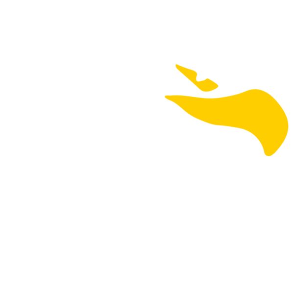 Falcon Head Thumbnail